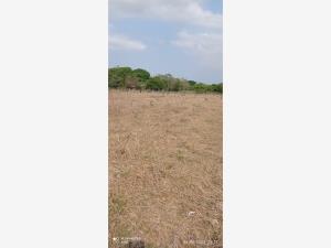 Finca-Rancho en venta en El Infiernillo, Medellín de Bravo — foto 3 de 20