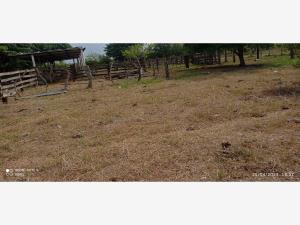 Finca-Rancho en venta en El Infiernillo, Medellín de Bravo — foto 2 de 20
