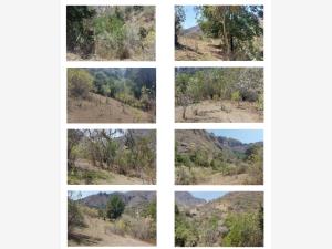 Terreno en venta en La Cañada, Ocuilán — foto 2 de 3