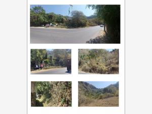 Terreno en venta en La Cañada, Ocuilán — foto 3 de 3