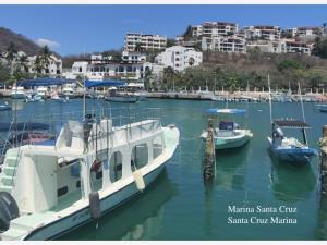 Local en venta en De La Cruz, Santa María Huatulco — foto 3 de 6