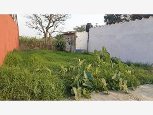 Terreno en venta en Las Margaritas, Córdoba — foto 2 de 4