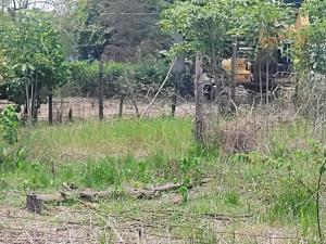 Terreno en venta en La Huerta Residencial, Centro — foto 2 de 14