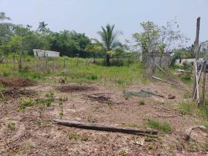 Terreno en venta en La Huerta Residencial, Centro — foto 3 de 14