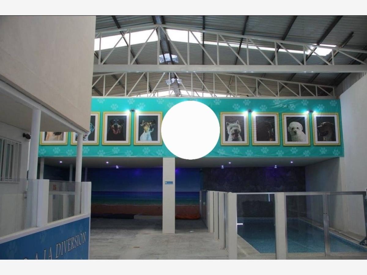 Bodega en venta en Ampliación los Ángeles, Corregidora — foto 1 de 10