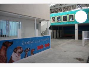 Bodega en venta en Ampliación los Ángeles, Corregidora — foto 2 de 10