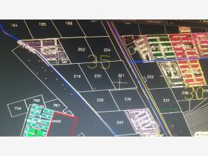 Terreno en venta en San Isidro, Lerdo — foto 3 de 3