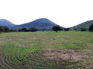 Terreno en venta en Tepetlaoxtoc de Hidalgo, Tepetlaoxtoc — foto 3 de 15