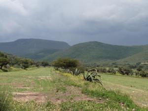 Terreno en venta en Tepetlaoxtoc de Hidalgo, Tepetlaoxtoc — foto 2 de 14