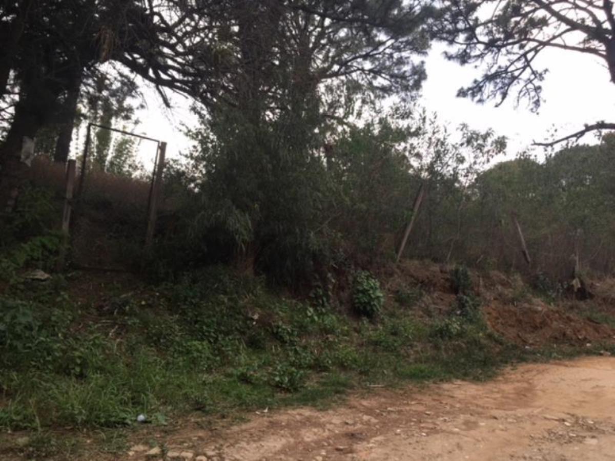 Terreno en venta en Lomas de Tzompantle, Cuernavaca — foto 1 de 9