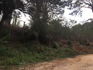 Terreno en venta en Lomas de Tzompantle, Cuernavaca, Morelos Terreno en venta en Lomas de Tzompantle, Cuernavaca, Morelos