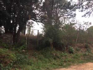 Terreno en venta en Lomas de Tzompantle, Cuernavaca — foto 3 de 9