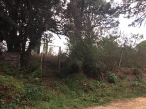 Terreno en venta en Lomas de Tzompantle, Cuernavaca — foto 2 de 9