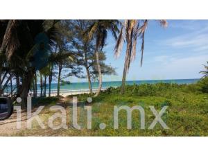 Terreno en venta en Majahual, Tamiahua — foto 2 de 10