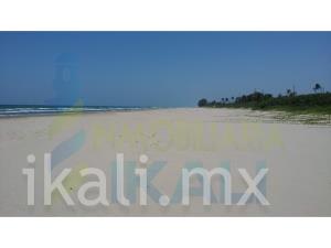 Terreno en venta en Majahual, Tamiahua — foto 3 de 10