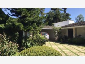 Finca-Rancho en venta en Briones, Coatepec — foto 2 de 40