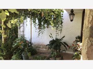 Finca-Rancho en venta en Briones, Coatepec — foto 3 de 40