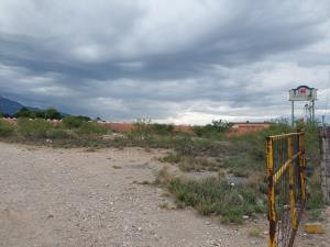 Terreno en venta en San Jose de los Cerritos, Saltillo — foto 2 de 6