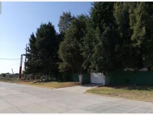 Quinta en venta en San Miguel Tianguizolco, Huejotzingo — foto 2 de 12