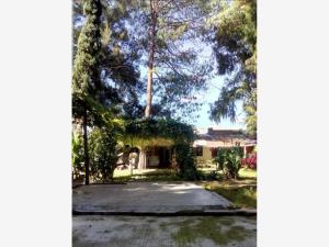Quinta en venta en San Miguel Tianguizolco, Huejotzingo — foto 3 de 12