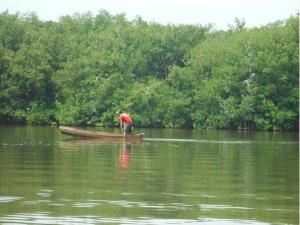 Terreno en venta en San Felipe Bacalar, Bacalar — foto 2 de 11