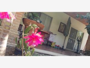 Casa en venta en Brisas, Temixco — foto 2 de 20