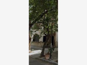 Casa en venta en Cuauhtemoc, Cuauhtémoc — foto 3 de 6