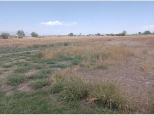 Terreno en venta en Alvaro Obregon, Lerdo, Durango Terreno en venta en Alvaro Obregon, Lerdo, Durango