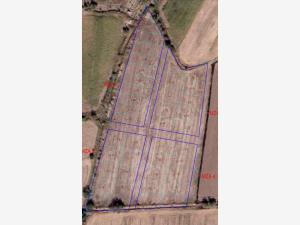 Terreno en venta en Alvaro Obregon, Lerdo — foto 2 de 2