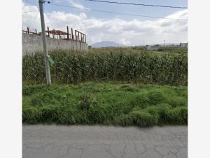 Terreno en venta en San Miguel Totocuitlapilco, Metepec — foto 3 de 4