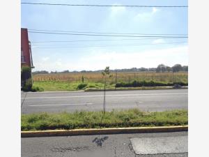 Terreno en venta en Llano Grande (El Salitre), Metepec — foto 2 de 4