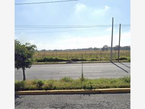 Terreno en venta en Llano Grande (El Salitre), Metepec — foto 3 de 4