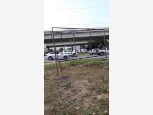 Terreno en renta en Francisco de Montejo, Mérida — foto 3 de 8