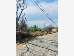 Terreno en venta en La Valenciana, Pátzcuaro — foto 2 de 8