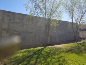 Terreno en venta en Rincón San Ángel, Torreón — foto 3 de 4