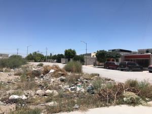 Terreno en venta en San Antonio, Gómez Palacio — foto 3 de 4