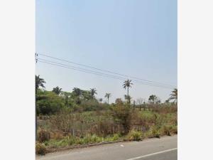 Terreno en venta en Paso del Toro, Medellín de Bravo, Veracruz de Ignacio de la Llave