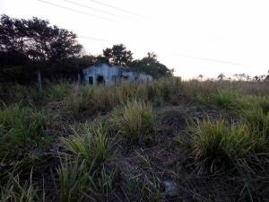Terreno en venta en Paso del Toro, Medellín de Bravo — foto 3 de 9