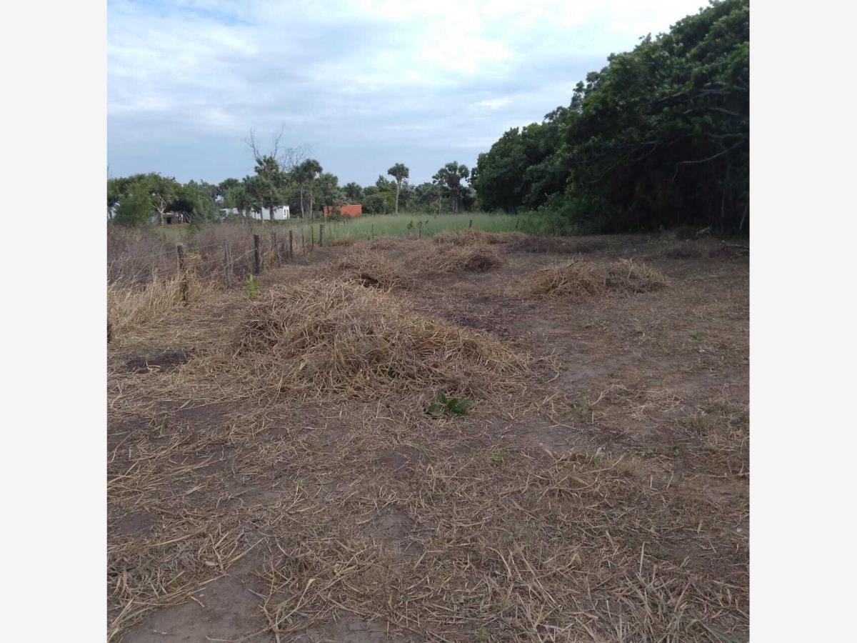 Terreno en venta en La Aguada, Alvarado — foto 1 de 3