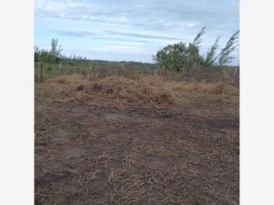 Terreno en venta en La Aguada, Alvarado — foto 2 de 3