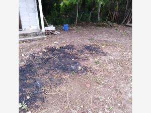 Terreno en venta en La Aguada, Alvarado — foto 3 de 3