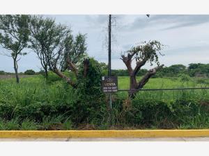 Terreno en venta en Cedral, Medellín de Bravo — foto 3 de 6