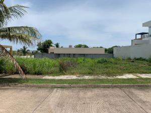 Terreno en venta en Real Mandinga, Alvarado — foto 2 de 3