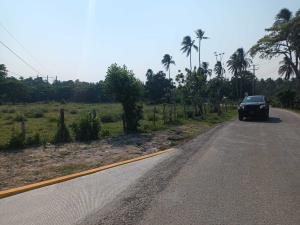 Terreno en renta en El Escribano, Paraíso — foto 2 de 7