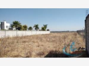 Terreno en venta en San Bernardino Tlaxcalancingo, San Andrés Cholula — foto 3 de 8