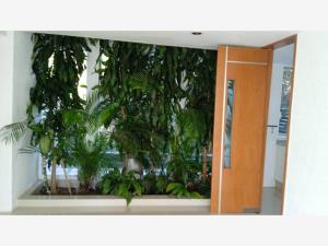 Casa en venta en Lomas de Cocoyoc, Atlatlahucan — foto 3 de 21