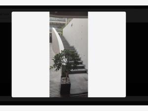 Casa en venta en Las Aguilas, Álvaro Obregón — foto 3 de 8