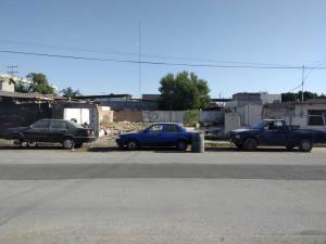 Terreno en renta en Nueva California, Torreón — foto 2 de 6