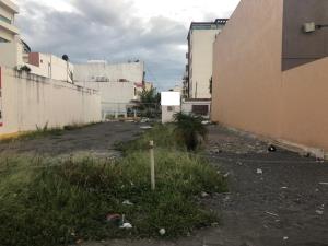 Terreno en renta en Jardines de Virginia, Boca del Río — foto 2 de 12