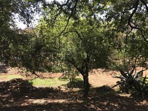 Terreno en venta en El Ermitaño, La Magdalena Contreras — foto 2 de 14